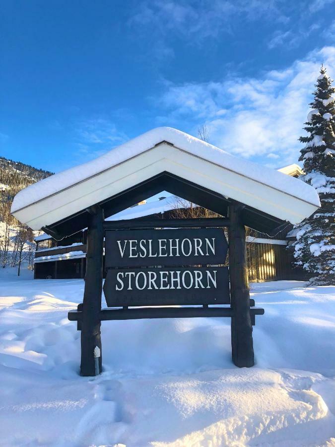 Storehorn Apartments Hemsedal Luaran gambar
